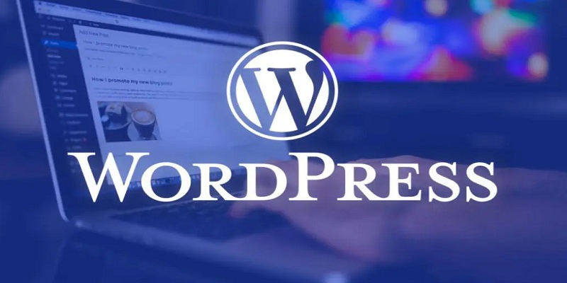 Thông tin cơ bản về công việc thiết kế web wordpress
